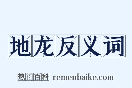 地龙反义词是什么意思的图片